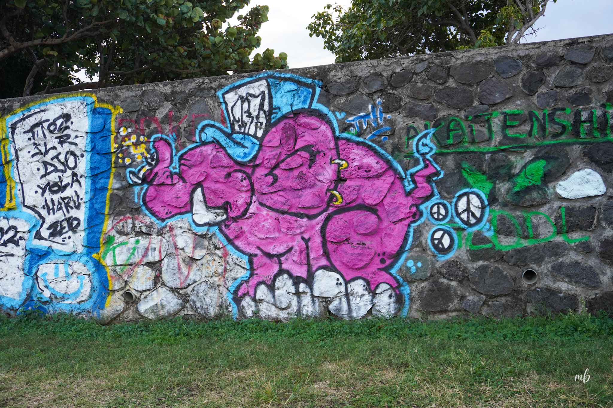 L&rsquo;art urbain à Saint-Pierre