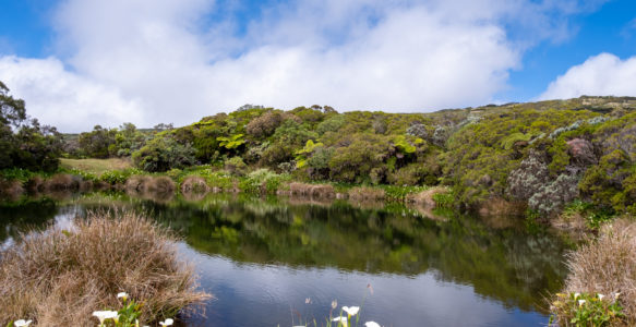 Piton de l&rsquo;eau